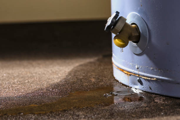 Best Mold removal after water damage  in San Buenaventura, CA
