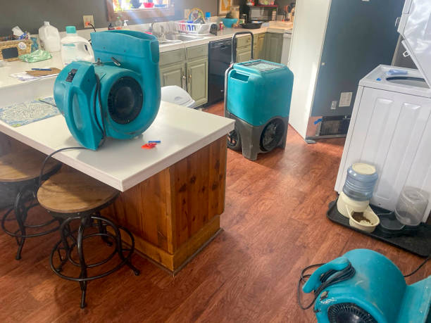 Best Basement water damage restoration  in San Buenaventura, CA