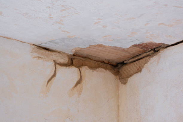 Best Residential water damage restoration  in San Buenaventura, CA