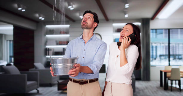 Best Ceiling water damage repair  in San Buenaventura, CA