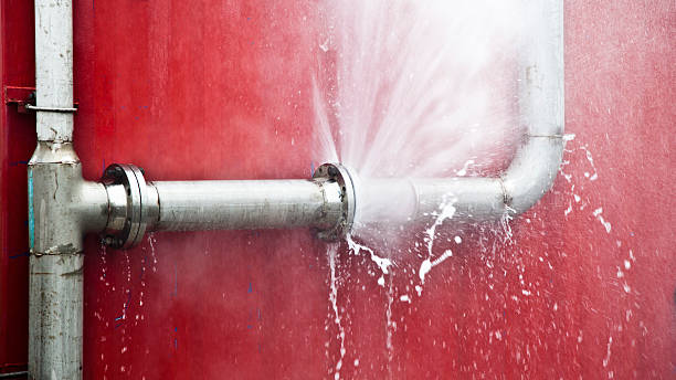  San Buenaventura, CA Water damage restoration Pros